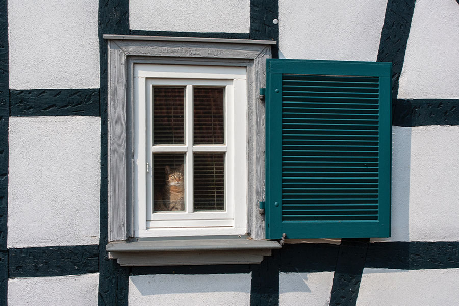 Türen | Fenster | Schreinerei | Miesbach